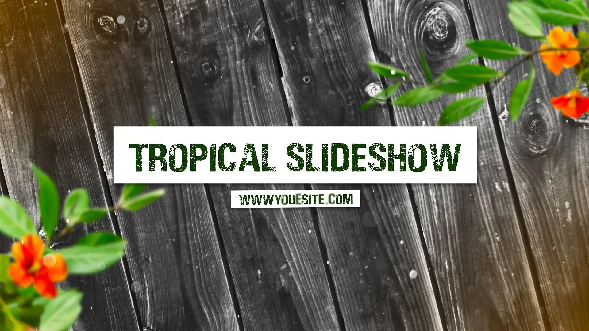Vibrant Tropical Theme Journey Slideshow